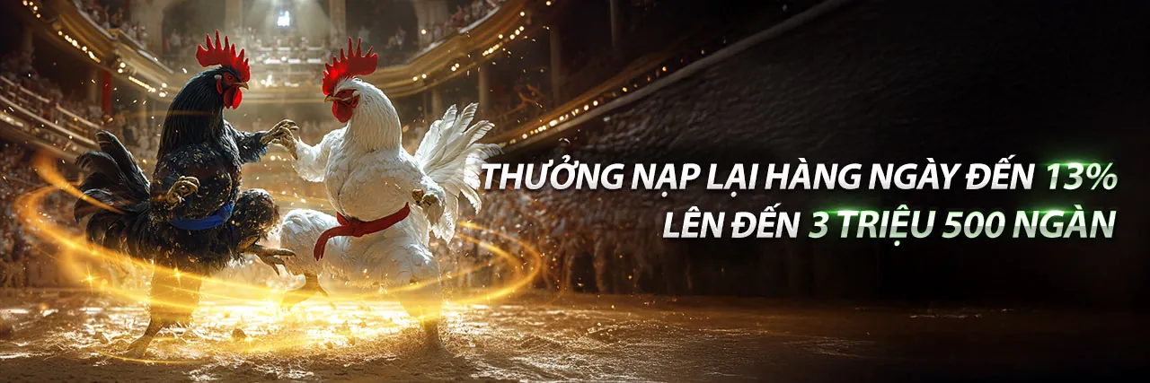Hình ảnh đại diện cho Điều khoản và Điều kiện của SP8BET Khuyến Mãi
