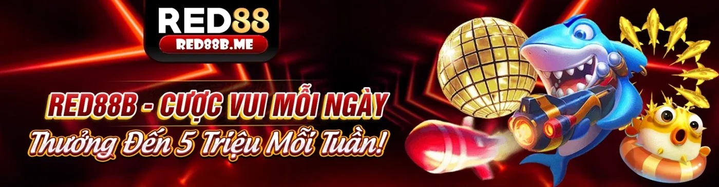 Cam kết và nguyên tắc bảo vệ dữ liệu của SP8BET